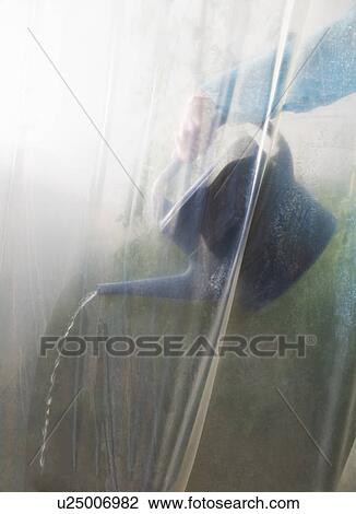 Watering can in greenhouse View Large Photo Image Stock Image - Watering can in greenhouse. Fotosearch