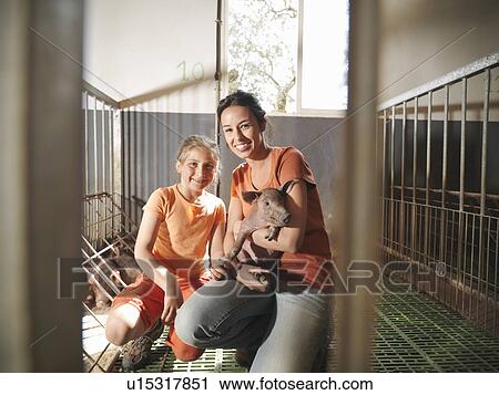 Woman and child in pen holding a piglet View Large Photo Image Stock Image - Woman and child in pen holding a piglet. Fotosearch