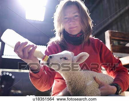 Picture - Woman feeding lamb with bottle. Fotosearch