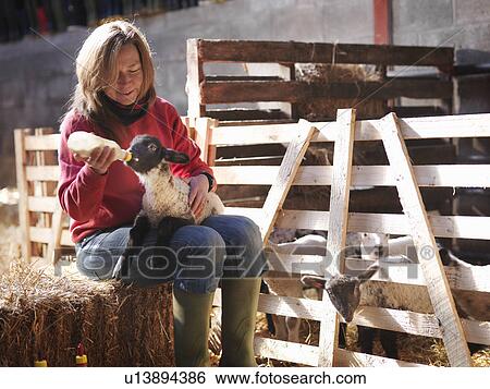 Stock Photograph - Woman feeding lamb with bottle. Fotosearch