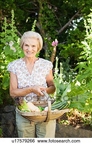 woman holding basket with vegetables. View Large Photo Image Stock Photograph - woman holding basket with vegetables.. Fotosearch
