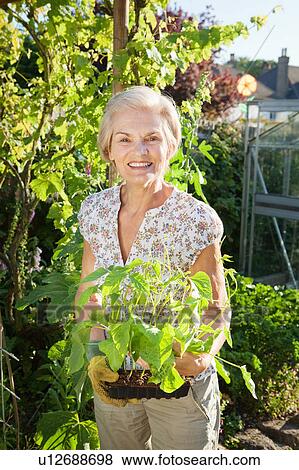 Stock Photo - woman holding small green bean plants. . Fotosearch