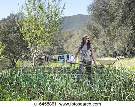Woman standing in garlic field View Large Photo Image Stock Image - Woman standing in garlic field. Fotosearch