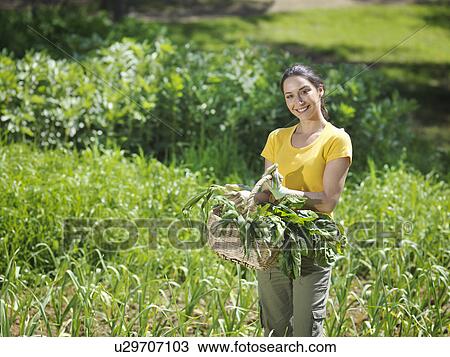 Woman with freshly picked veg in basket View Large Photo Image Stock Image - Woman with freshly picked veg in basket. Fotosearch