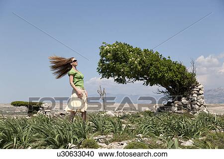 Woman with windblown hair and tree View Large Photo Image Stock Image - Woman with windblown hair and tree. Fotosearch