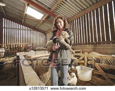 Young Girl Holding Lamb View Large Photo Image Stock Image - Young Girl Holding Lamb. Fotosearch