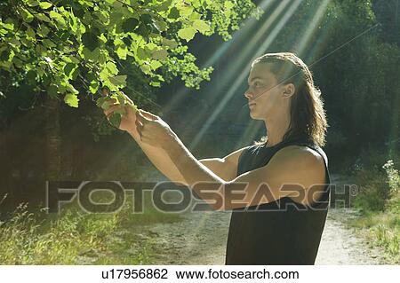Stock Image - Young man holding leaf in forest. Fotosearch
