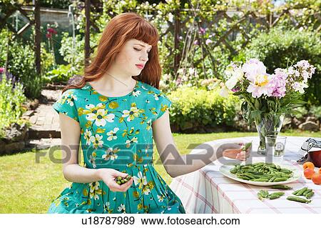 Stock Photo - young woman collecting pods.. Fotosearch
