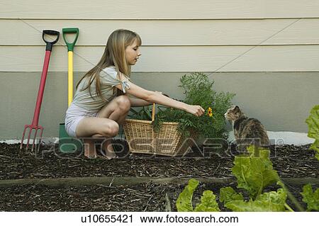 Young woman showing cat flower View Large Photo Image Stock Image - Young woman showing cat flower. Fotosearch
