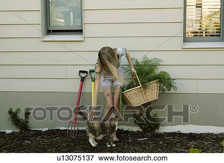Young woman stroking cat View Large Photo Image Stock Photo - Young woman stroking cat. Fotosearch