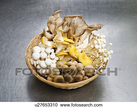 A basket of mixed mushrooms View Large Photo Image Stock Image - A basket of mixed mushrooms. Fotosearch