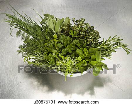 Stock Image - A bowl of fresh herbs. Fotosearch
