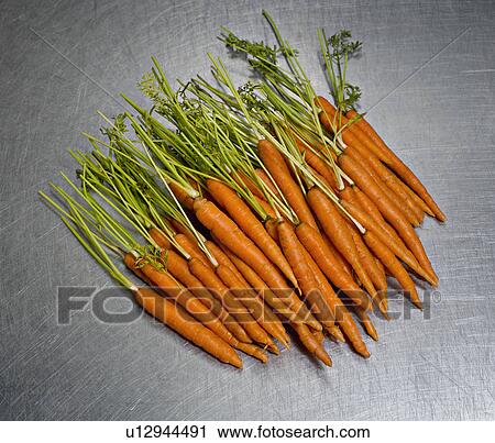 A bunch of fresh carrots View Large Photo Image Stock Image - A bunch of fresh carrots. Fotosearch