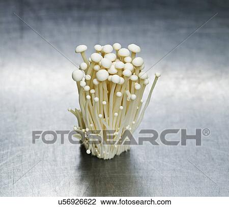Stock Image - A cluster of white mushrooms. Fotosearch