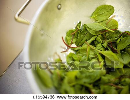 Stock Photograph - A colander containing with washed salad. Fotosearch