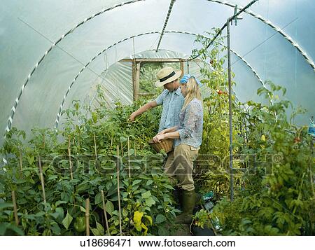 Stock Image - A couple in a green house. Fotosearch