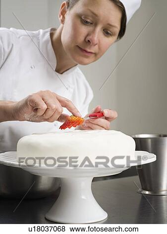 A female chef cake decorating View Large Photo Image Stock Photo - A female chef cake decorating. Fotosearch