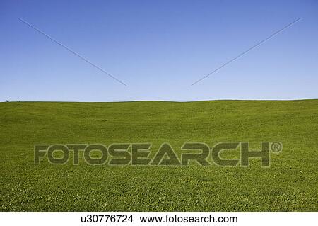 Picture - A field and sky. Fotosearch
