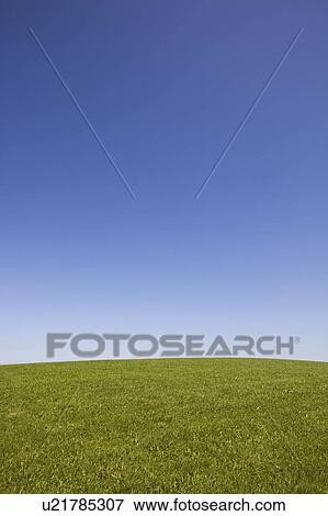 A field and sky View Large Photo Image Stock Photo - A field and sky. Fotosearch