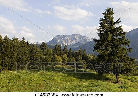 A idyllic landscape View Large Photo Image Picture - A idyllic landscape. Fotosearch