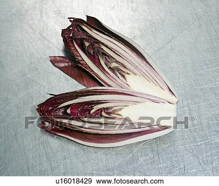 A small red cabbage cut in two pieces View Large Photo Image Stock Photo - A small red cabbage cut in two pieces. Fotosearch