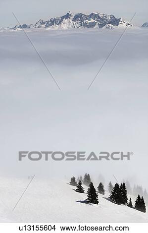 A winter scene View Large Photo Image Picture - A winter scene. Fotosearch