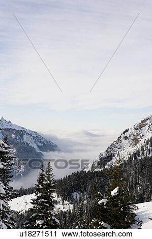 A winter scene View Large Photo Image Stock Image - A winter scene. Fotosearch