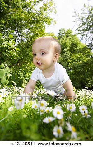 Baby boy in the daisies View Large Photo Image Stock Image - Baby boy in the daisies. Fotosearch