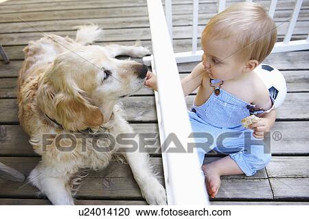 Stock Image - Baby boy playing with the family dog. Fotosearch
