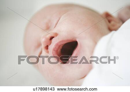 baby screaming View Large Photo Image Stock Image - baby screaming. Fotosearch