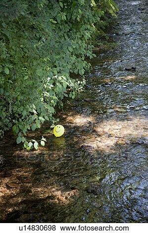 balloon in a river View Large Photo Image Stock Photo - balloon in a river. Fotosearch
