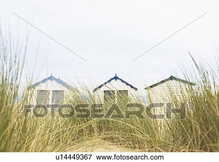 Beach huts behind dunes View Large Photo Image Stock Photo - Beach huts behind dunes. Fotosearch