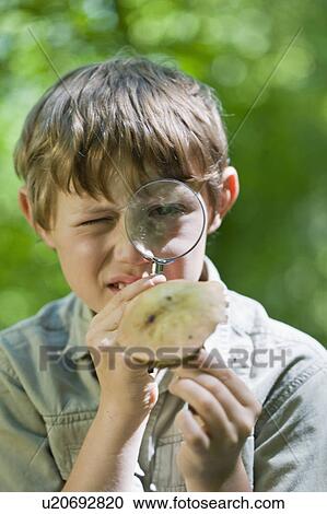 Stock Image - boy examines a mushroom. Fotosearch