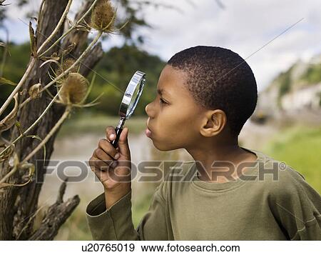 Stock Photo - boy investigating nature. Fotosearch