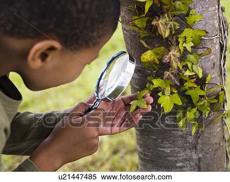 boy investigating nature View Large Photo Image Stock Photography - boy investigating nature. Fotosearch