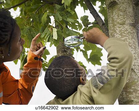 boy investigating nature with woman View Large Photo Image Stock Image - boy investigating nature with woman. Fotosearch