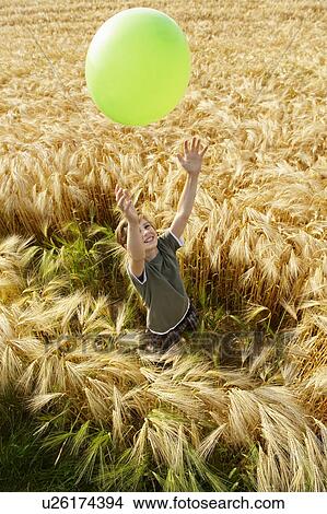 Boy playing with balloon in wheat field View Large Photo Image Picture - Boy playing with balloon in wheat field. Fotosearch