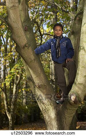 Stock Photograph - Boy standing in a tree. Fotosearch
