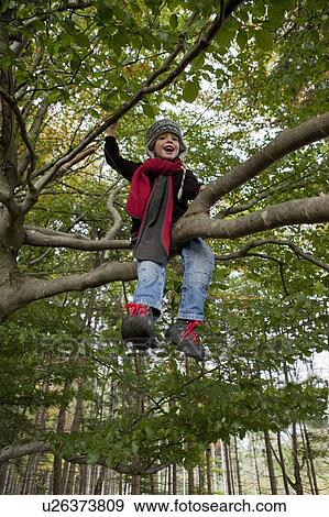 Boy up on a tree View Large Photo Image Stock Photo - Boy up on a tree. Fotosearch