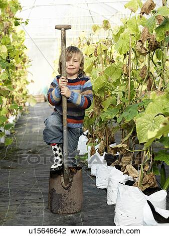 Boy with shovel in green house View Large Photo Image Stock Image - Boy with shovel in green house. Fotosearch