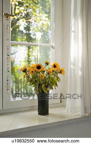 Stock Image - Bunch of sunflowers on a windowsill. Fotosearch