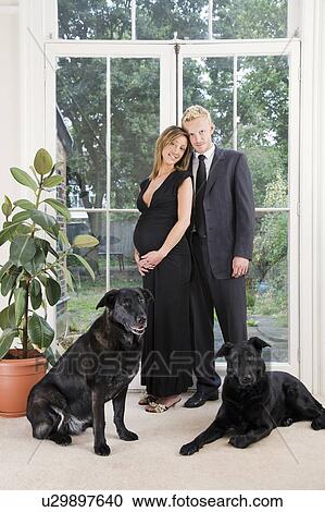 Caucasian pregnant couple and dogs View Large Photo Image Stock Image - Caucasian pregnant couple and dogs. Fotosearch