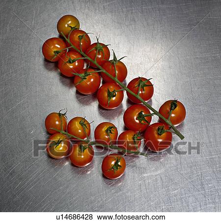 Stock Photo - Cherry tomatoes on the stem. Fotosearch