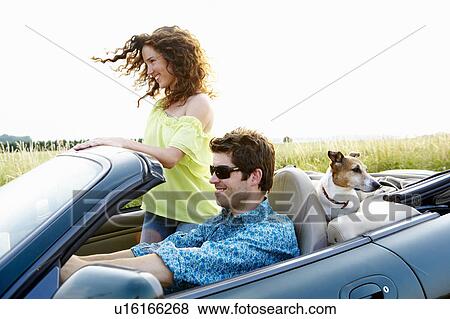 Couple in a convertible, with dog View Large Photo Image Stock Photo - Couple in a convertible, with dog. Fotosearch