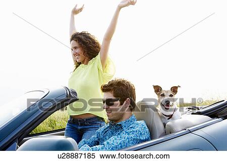 Stock Photography - Couple in a convertible, with dog. Fotosearch