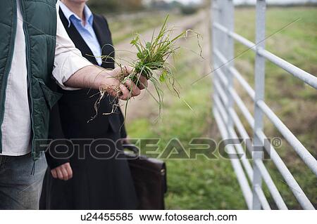 Stock Photography - farmer showing business woman crop. Fotosearch