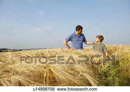 Father and son in a wheat field View Large Photo Image Stock Photo - Father and son in a wheat field. Fotosearch