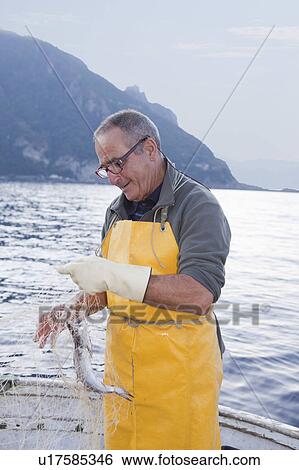 Stock Photograph - fisherman on boat, fish in netting. Fotosearch