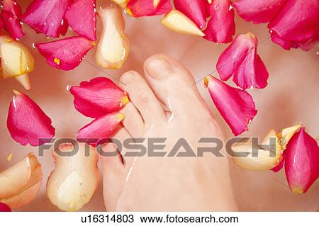 Stock Image - footbath . Fotosearch