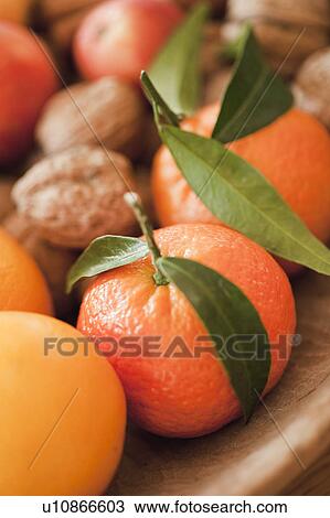 fruits and nuts on table View Large Photo Image Stock Image - fruits and nuts on table. Fotosearch